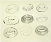 Ant Macari - Untitled (Nine Doughnuts)