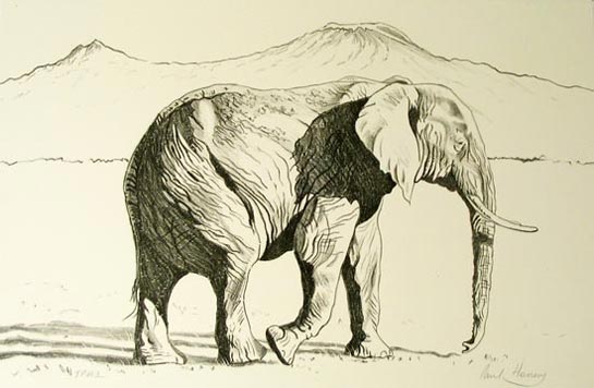 Paul Henery - African Elephant, Mount Kilimanjaro