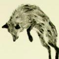 karl de vroomen - click to open page